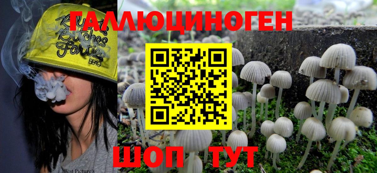 Галлюциногенные грибы ЛСД  Вход с VPN  Кольчугино 